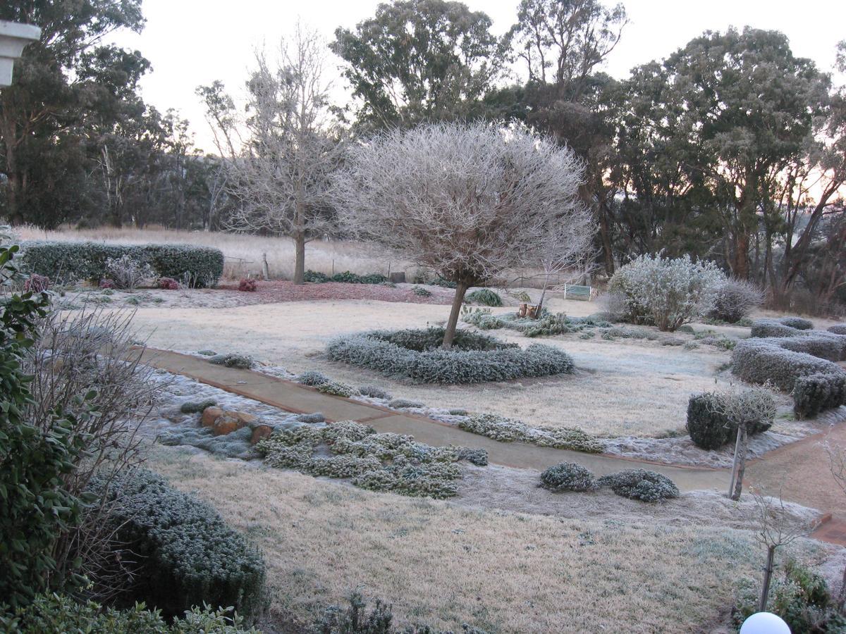 Whiskey Gully Wines Villa Stanthorpe Dış mekan fotoğraf