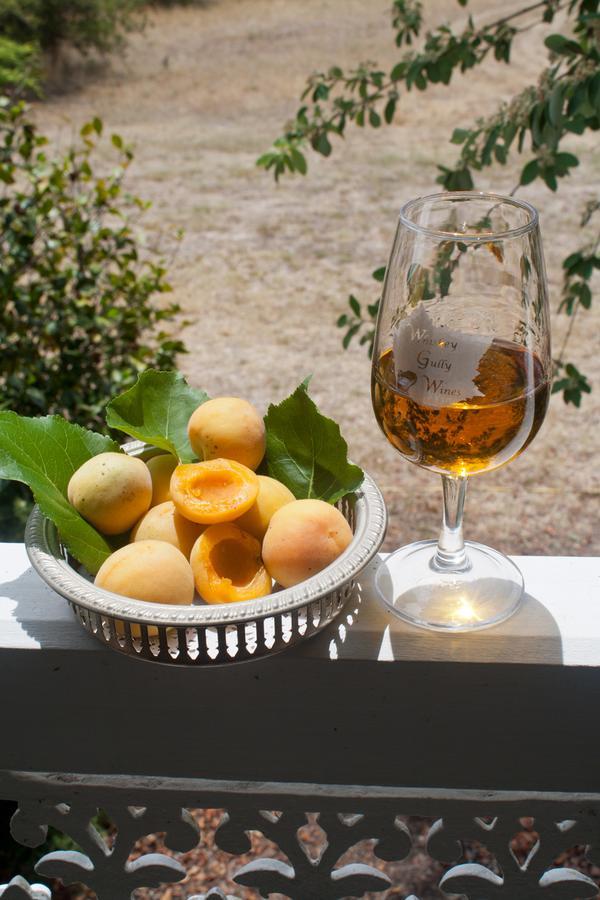 Whiskey Gully Wines Villa Stanthorpe Dış mekan fotoğraf